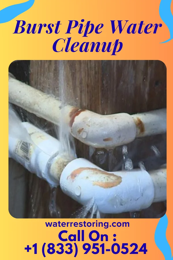 Burst Pipe Water Cleanup in Lake Nacimiento, CA